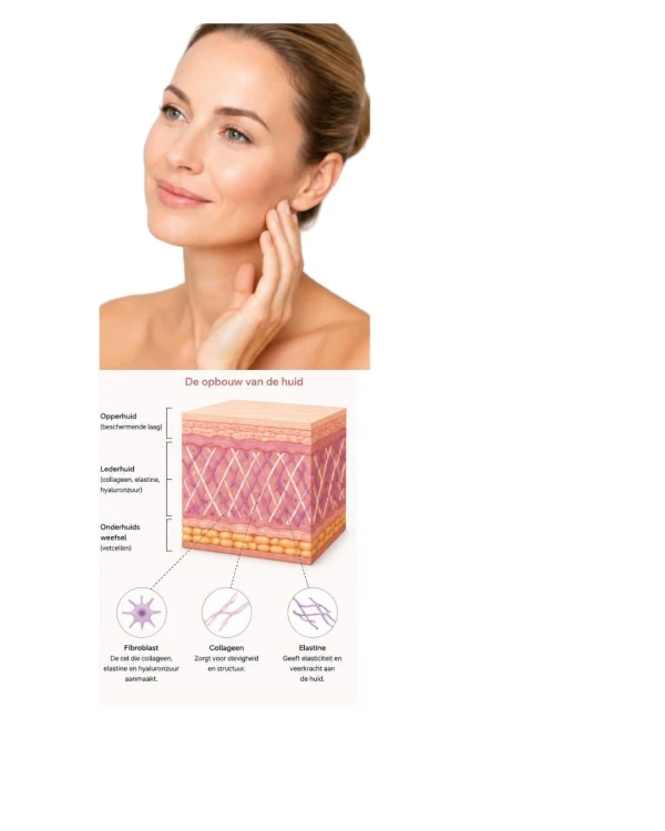Anti-aging: wat is collageen eigenlijk?
